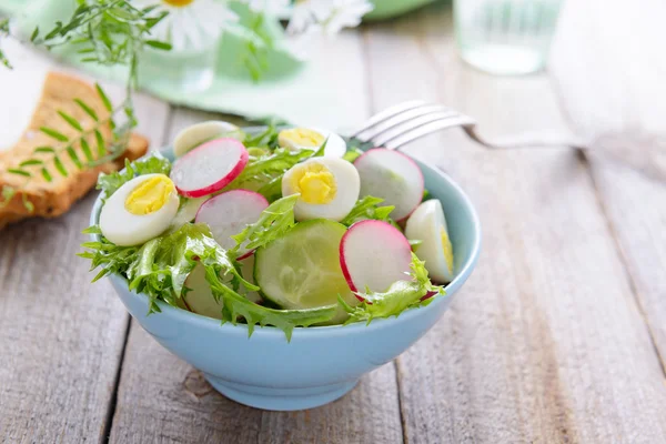 Spring salad — Stock Photo, Image