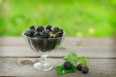 böğürtlen cam aranjman