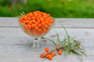 Deniz dikenli üzümleri