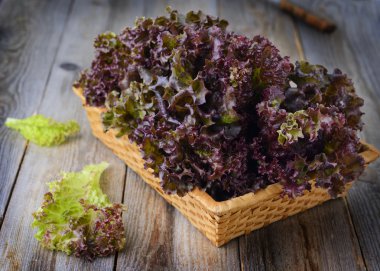Purple lettuce clipart