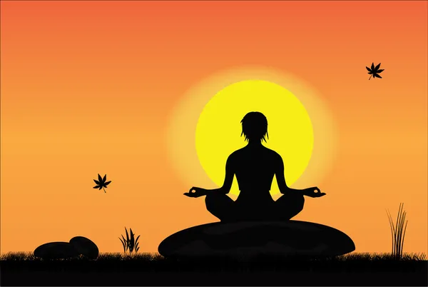 Mujer meditando sobre una roca — Vector de stock