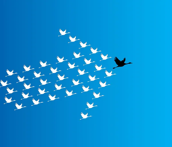 Leadership and Synergy Concept Illustration : A number of Swans flying against a deep blue sky background lead by a big dark leader swan — Stock Photo, Image