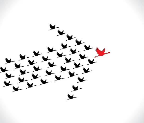 Leadership and Synergy Concept Illustration : A number of Swans flying against a Bright White sky background lead by a big dark leader swan — Stock Photo, Image