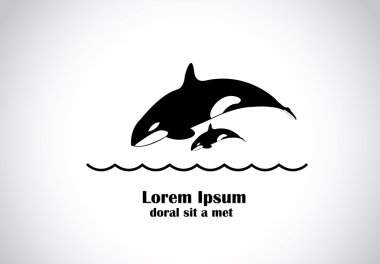 mutlu genç katil balina orca ile onun bebek okyanus içine dalış. küçük şirin bebek - konsept sanat ile birlikte denize bir siyah-beyaz balina Orca balinasının yüzme ve atlama