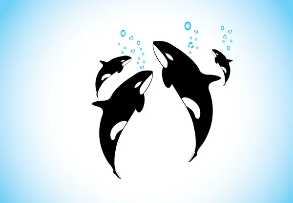 Family of killer whales swim & breathing together inside ocean. black and while realistic orca with family happily swimming inside the sea with air bubbles coming out from each - conservation concept — Stock Vector