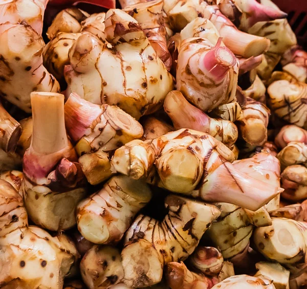 Galangal — Stock Photo, Image