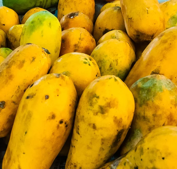 Papaya