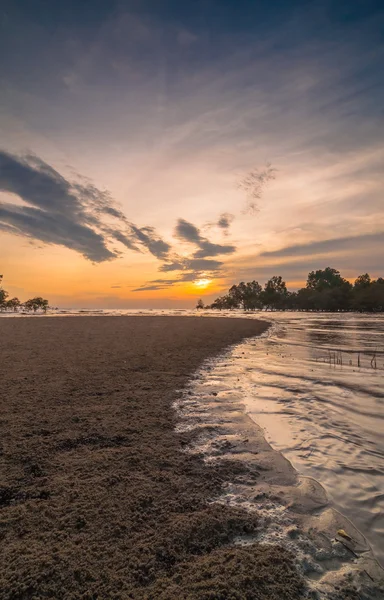 Sunset Kelanang beach — Stock Photo, Image