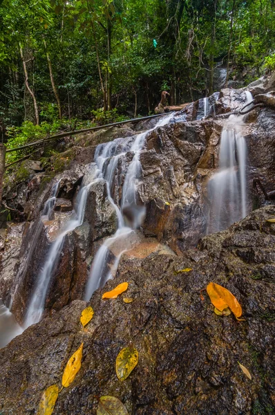 Panchur cascada kenyir vista vertical — Foto de Stock