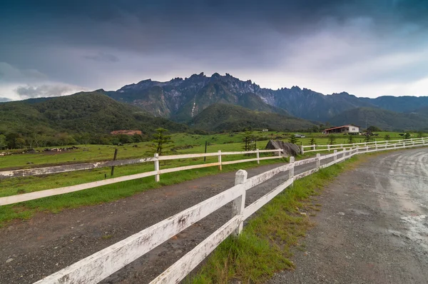 Mount kinabalu gelen süt çiftlikleri