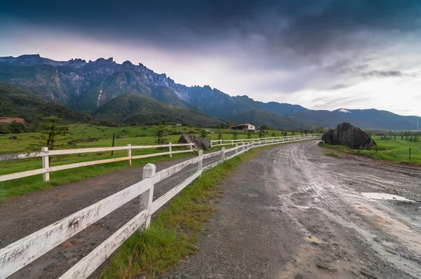 Mount kinabalu gelen süt çiftlikleri
