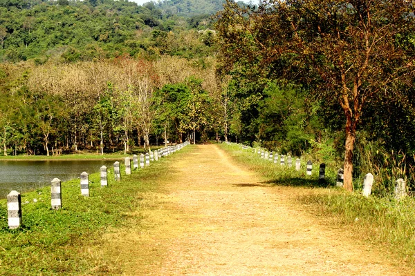 Park. — Stok fotoğraf