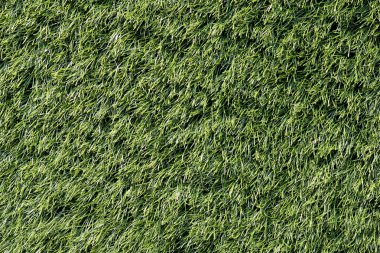 yapay yeşil çimen.