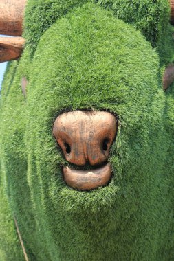 rhino yaratık yapay yeşil otların inşa.