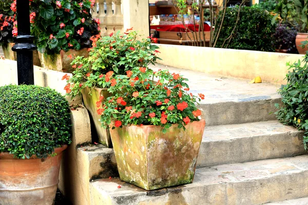 parkta yürüyen merdiven,.