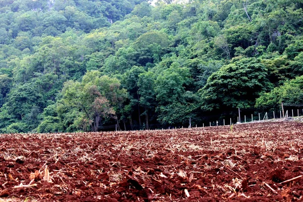 Montanha — Fotografia de Stock