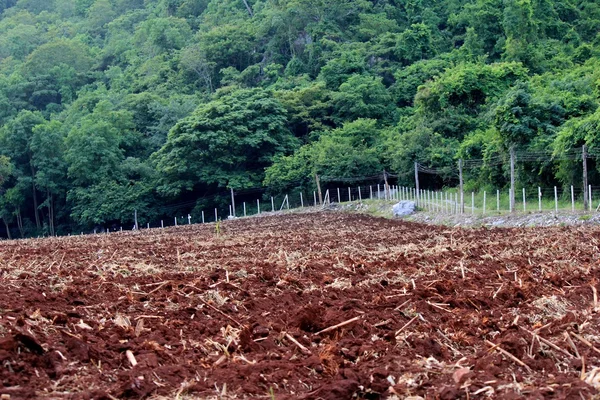 Montanha — Fotografia de Stock