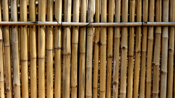 Bambu Arkaplanı — Stok fotoğraf