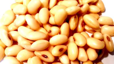 am gitaar akkoorden diagram