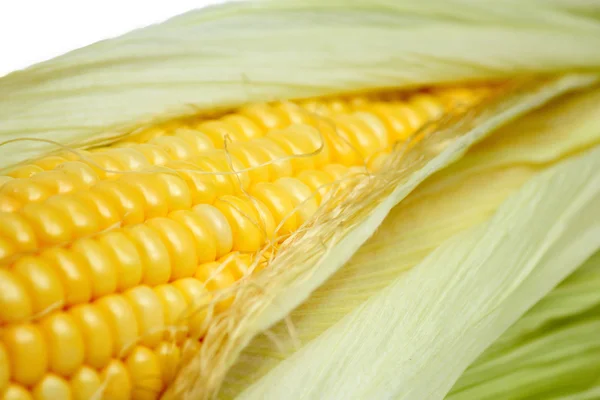 Corn — Stock Photo, Image