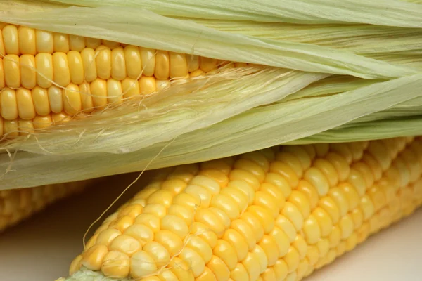 Corn — Stock Photo, Image