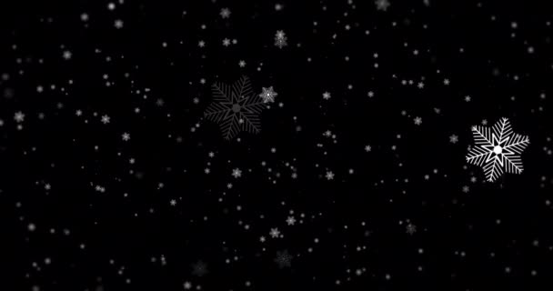 Neige véritable, neige tombante isolée sur fond transparent noir en 4K à utiliser pour composer, graphiques de mouvement, flocons de neige grands et petits, neige tombante isolée, Alpha, Ethereal — Video