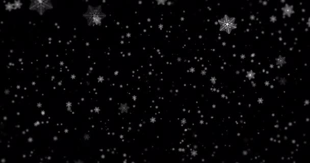 Real Snö, fallande snö isolerad på svart transparent bakgrund i 4K som ska användas för komponering, rörlig grafik, Stora och små snöflingor, Isolerad fallande snö, Alpha, eterisk — Stockvideo