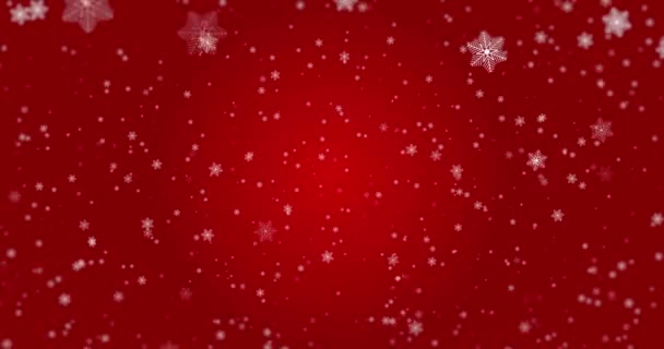 Valódi hó, lehulló hó elszigetelt vörös háttér 4K használni zeneszerzés, mozgás grafika, Nagy és kis hópelyhek, Elszigetelt eső hó, éteri, Intenzív, Storm. hurkolás — Stock videók