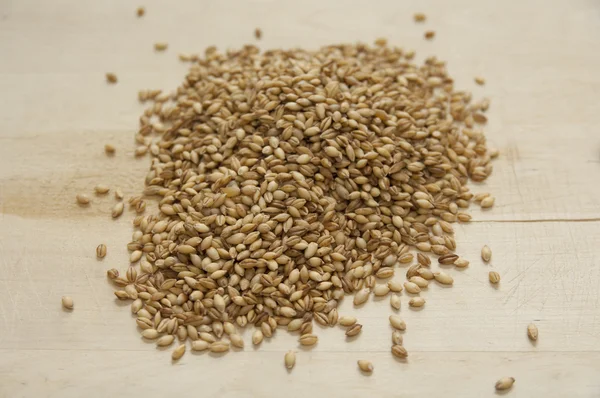 Close up view of organic Barley on a board — Stock Photo, Image