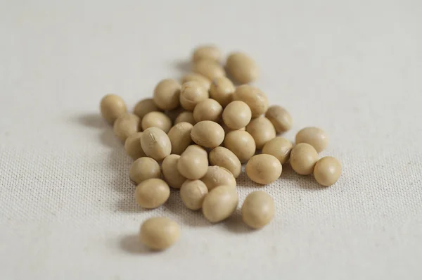 유기 콩의 클로즈업 보기 — 스톡 사진