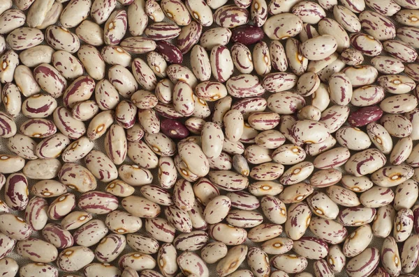 Detailní pohled na italských organické fazole — Stock fotografie