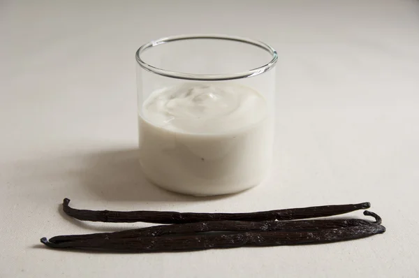 Close-up view of organic Vanilla Soy Yogurt — Stock Photo, Image