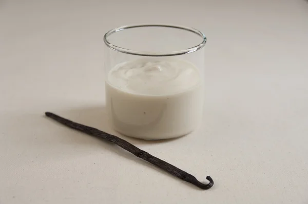 Close-up view of organic Vanilla Soy Yogurt — Stock Photo, Image