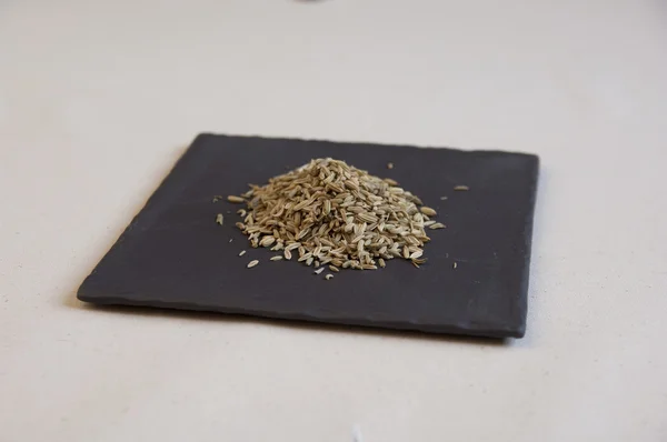 rezene tohumu yakından görmek