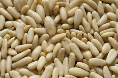 çam fıstığı görmek