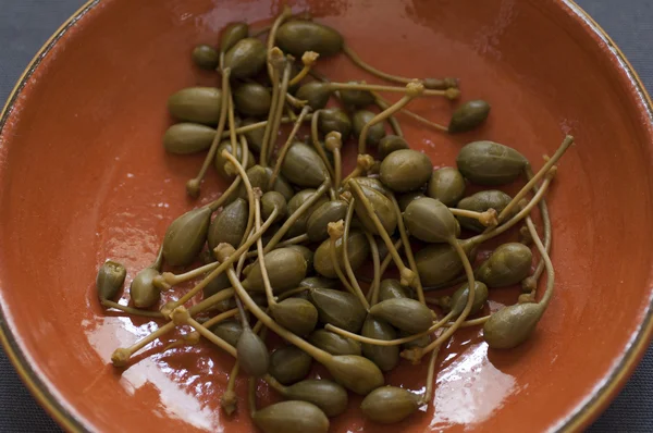 İtalyan Kapari yakından görmek