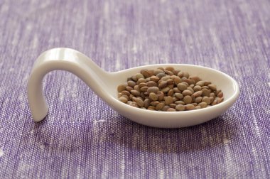 umbrian küçük mercimek görmek