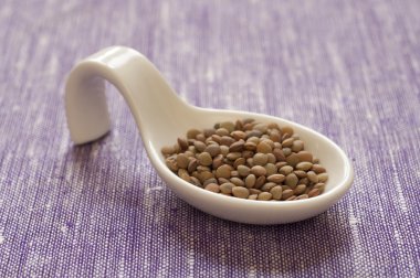 umbrian küçük mercimek görmek