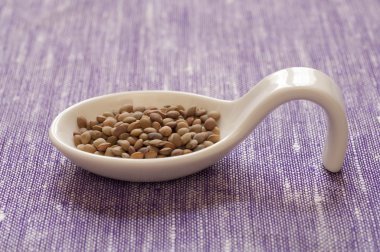 umbrian küçük mercimek görmek