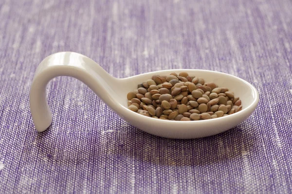 umbrian küçük mercimek görmek