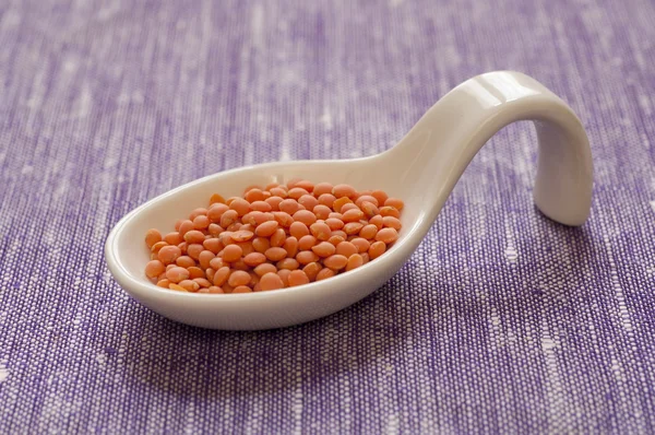 Organik kırmızı mercimek görmek