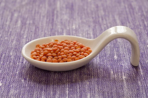 Organik kırmızı mercimek görmek