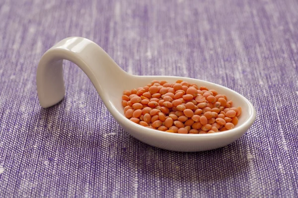 มุมมองใกล้ชิดของ Organic Red Lentils รูปภาพสต็อก