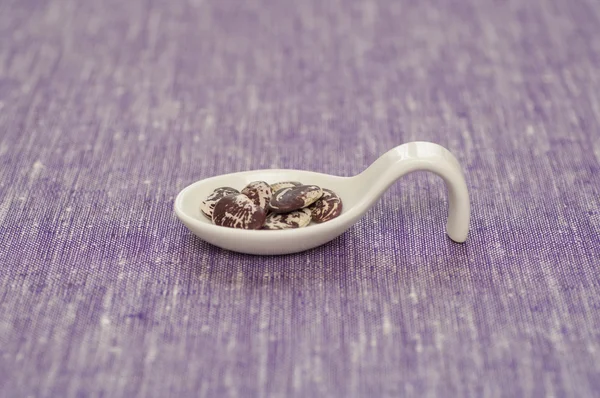 Close-up view of Organic Italian Lima Beans — Stock Photo, Image