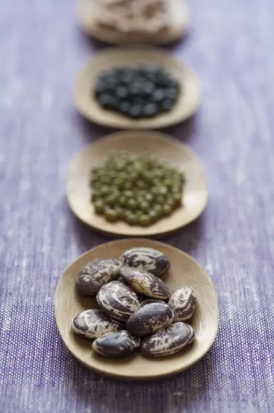 다양 한 콩의 클로즈업 보기 — 스톡 사진