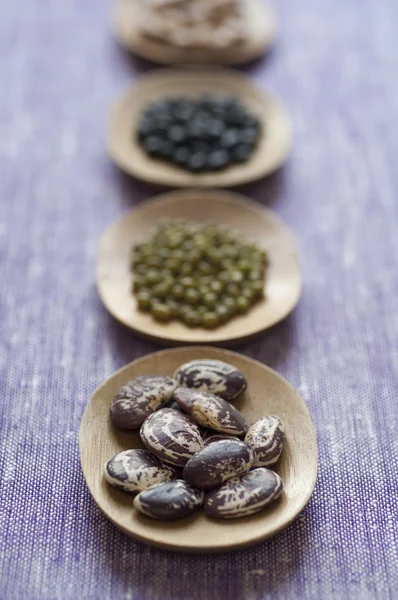 Vue rapprochée de la variété de haricots — Photo