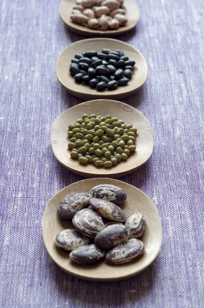 Close-up view of variety of Beans — Stock Photo, Image