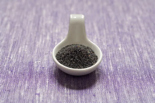 Close-up view of Poppy seeds — Stock Photo, Image
