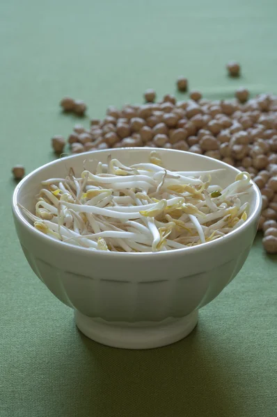 Close-up view of Soy Sprouts — Stock Photo, Image