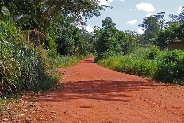 Ivory Coast — Stock Photo, Image